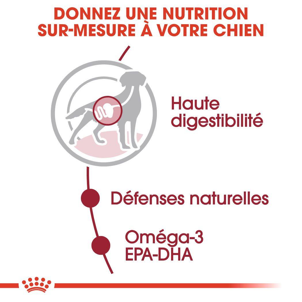 Royal Canin - Aliment Complet Chiens Moyens ROYAL CANIN - Image 7