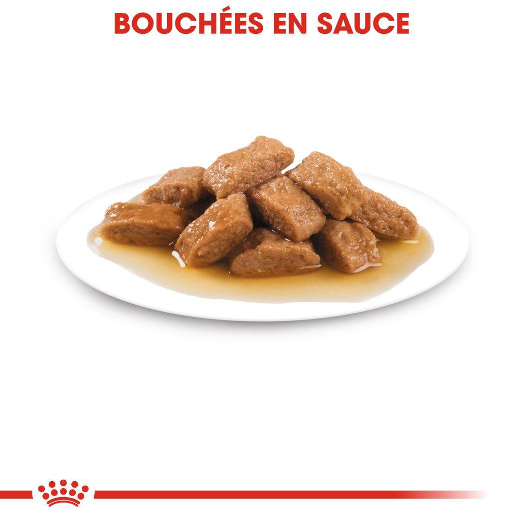 Royal Canin - Aliment Complet Chiens Moyens ROYAL CANIN - Image 5