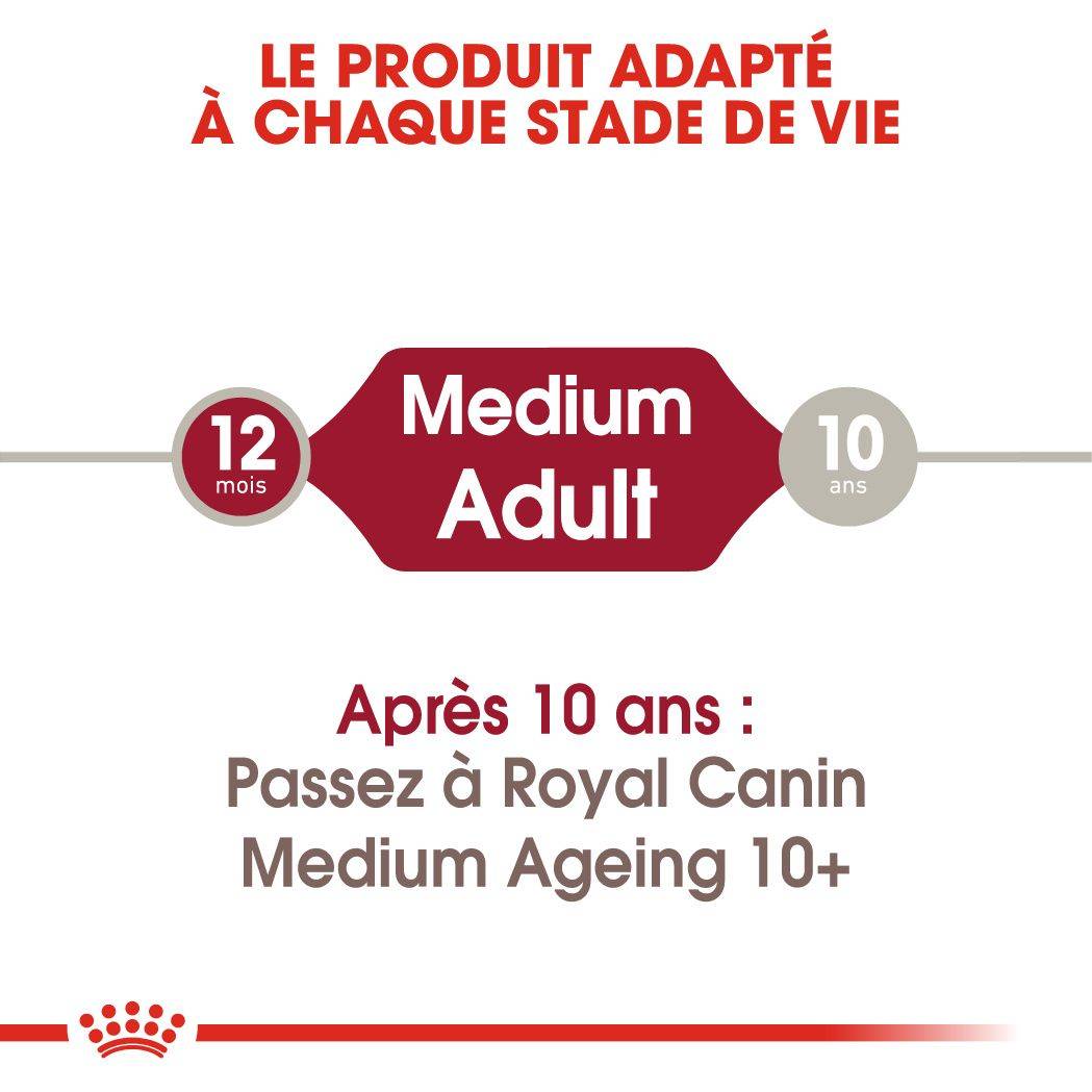 Royal Canin - Aliment Complet Chiens Moyens ROYAL CANIN - Image 4