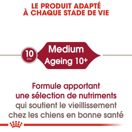 Royal Canin - Medium Ageing 10+ Nourriture Chien - ROYAL CANIN - Image 2