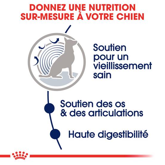 Royal Canin - Nourriture Humide Chiens Grande Race 8+ - ROYAL CANIN - Image 6