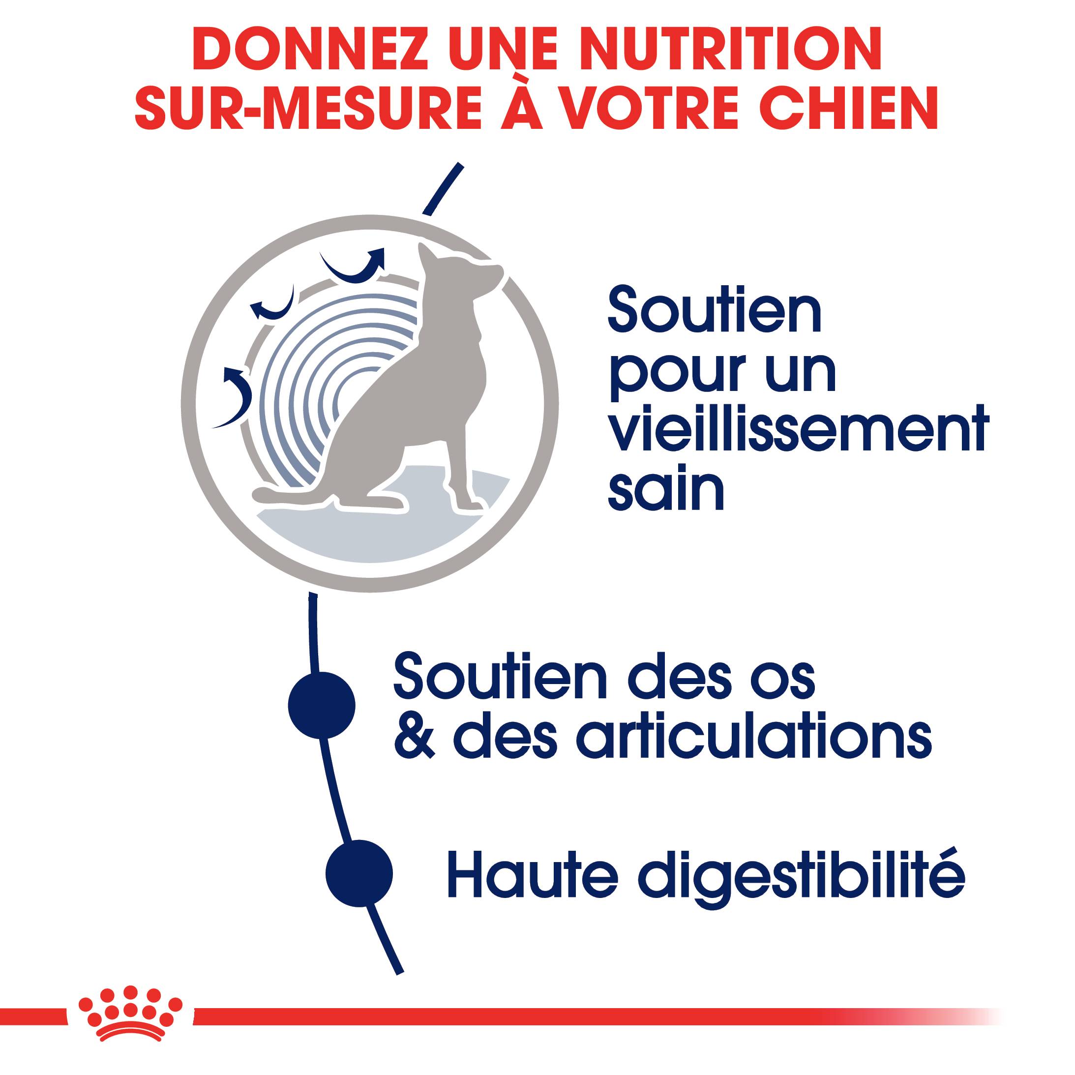 Royal Canin - Nourriture Humide Chiens Grande Race 8+ - ROYAL CANIN - Imagen 9