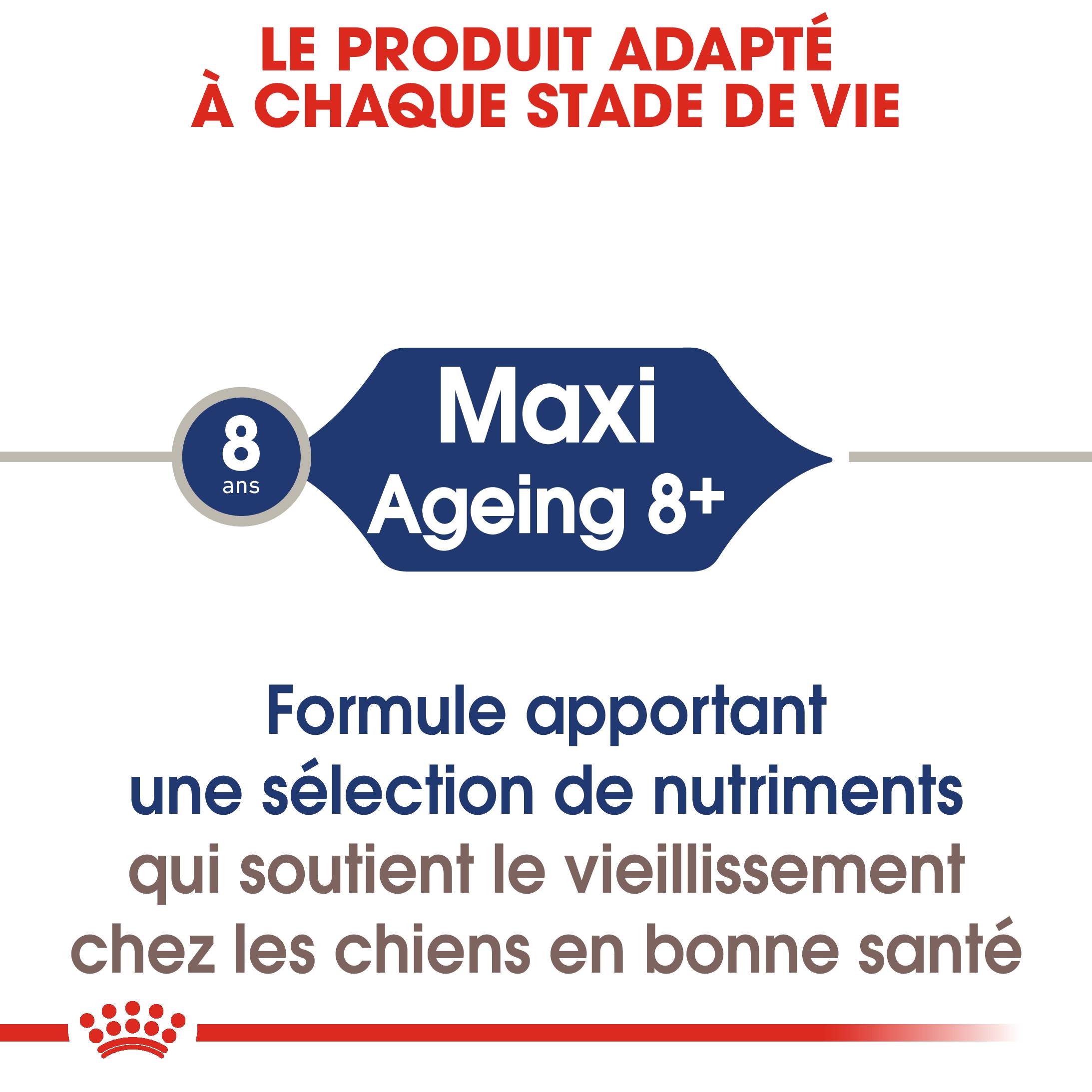 Royal Canin - Nourriture Humide Chiens Grande Race 8+ - ROYAL CANIN - Imagen 5