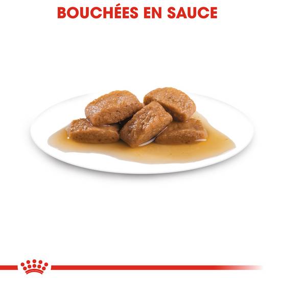 Royal Canin - Nourriture Humide Chiens Grande Race 8+ - ROYAL CANIN - Image 7