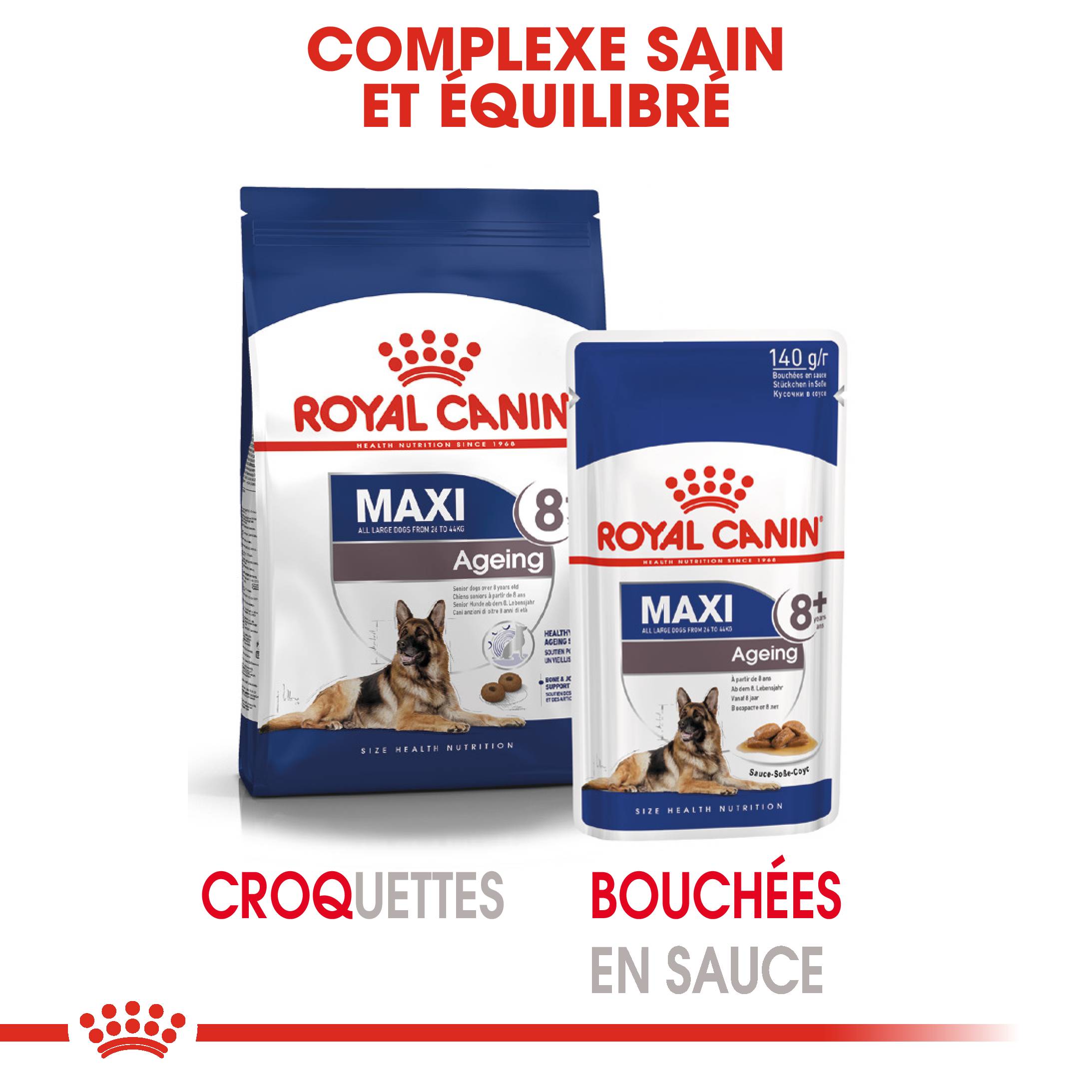 Royal Canin - Nourriture Humide Chiens Grande Race 8+ - ROYAL CANIN - Imagen 7
