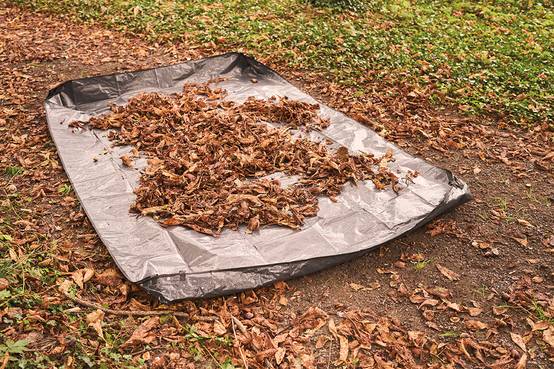 Ecloz - Bâche de ramassage plastique vert 2x3 m - ECLOZ - Image 8