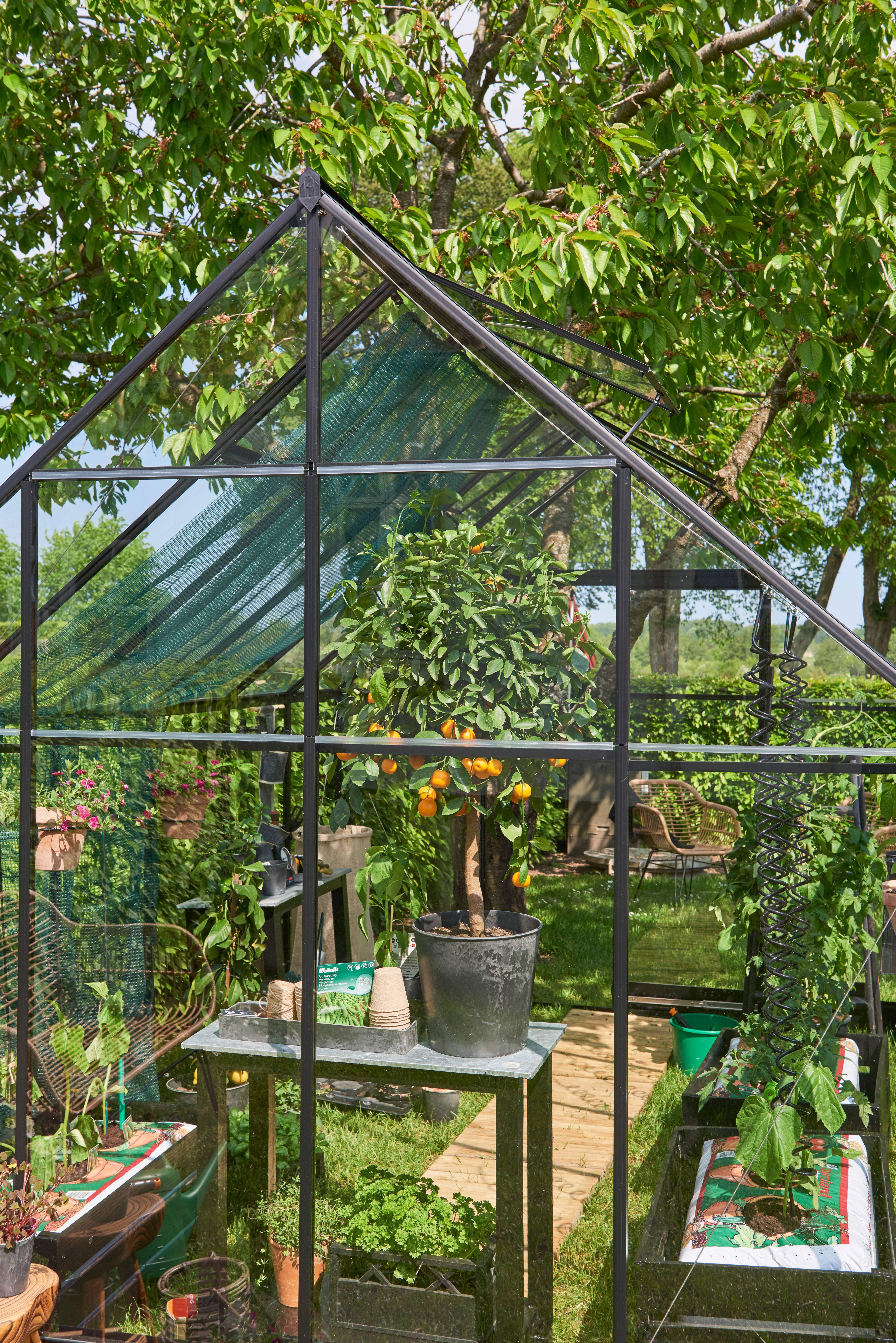 Halls - Serre de jardin verre trempé aluminium noir 9,4 m² Qube 8 - Halls - Image 2