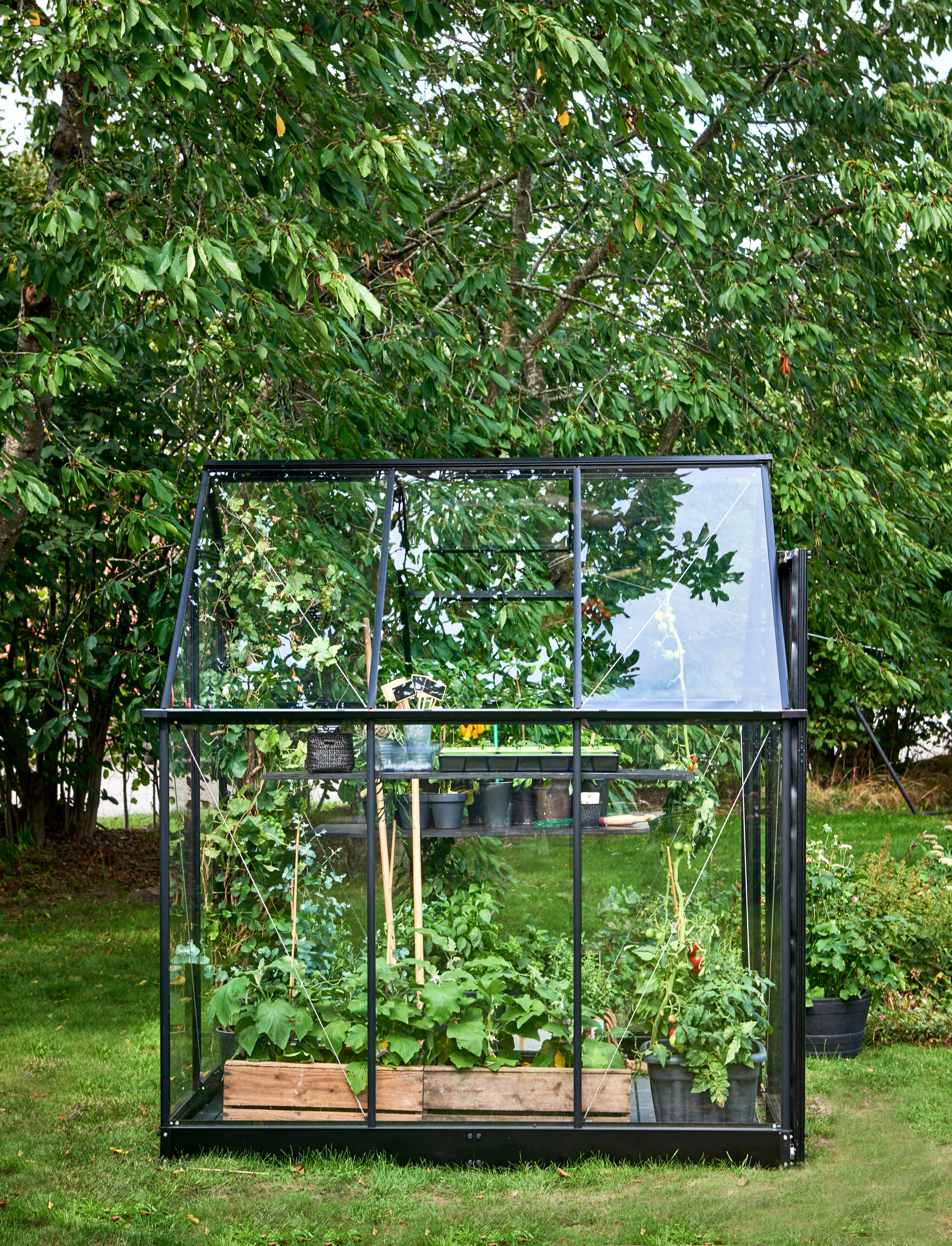Halls - Serre de jardin verre trempé aluminium noir 3,6 m² Qube 6 - Halls - Image 8
