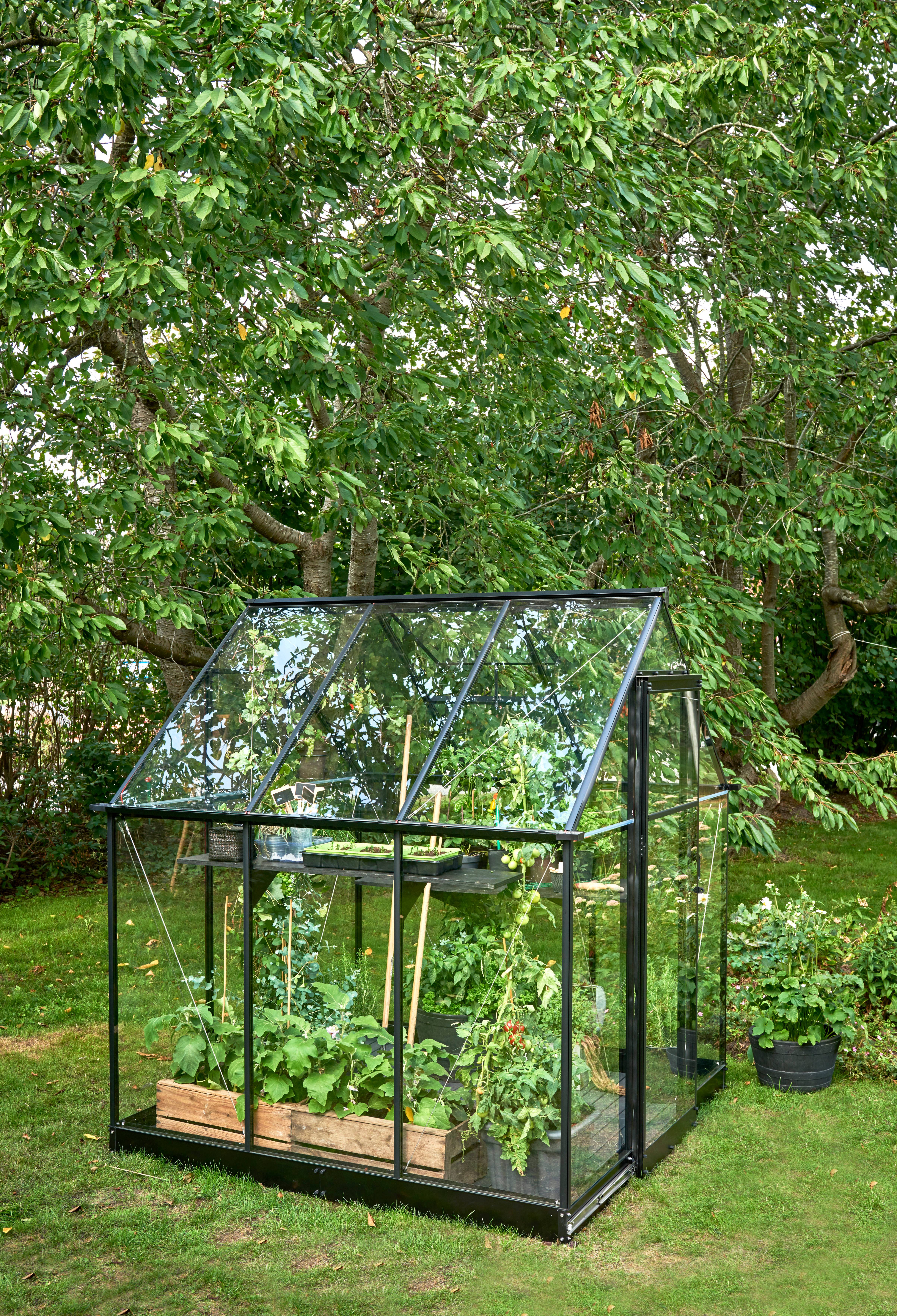Halls - Serre de jardin verre trempé aluminium noir 3,6 m² Qube 6 - Halls - Image 1