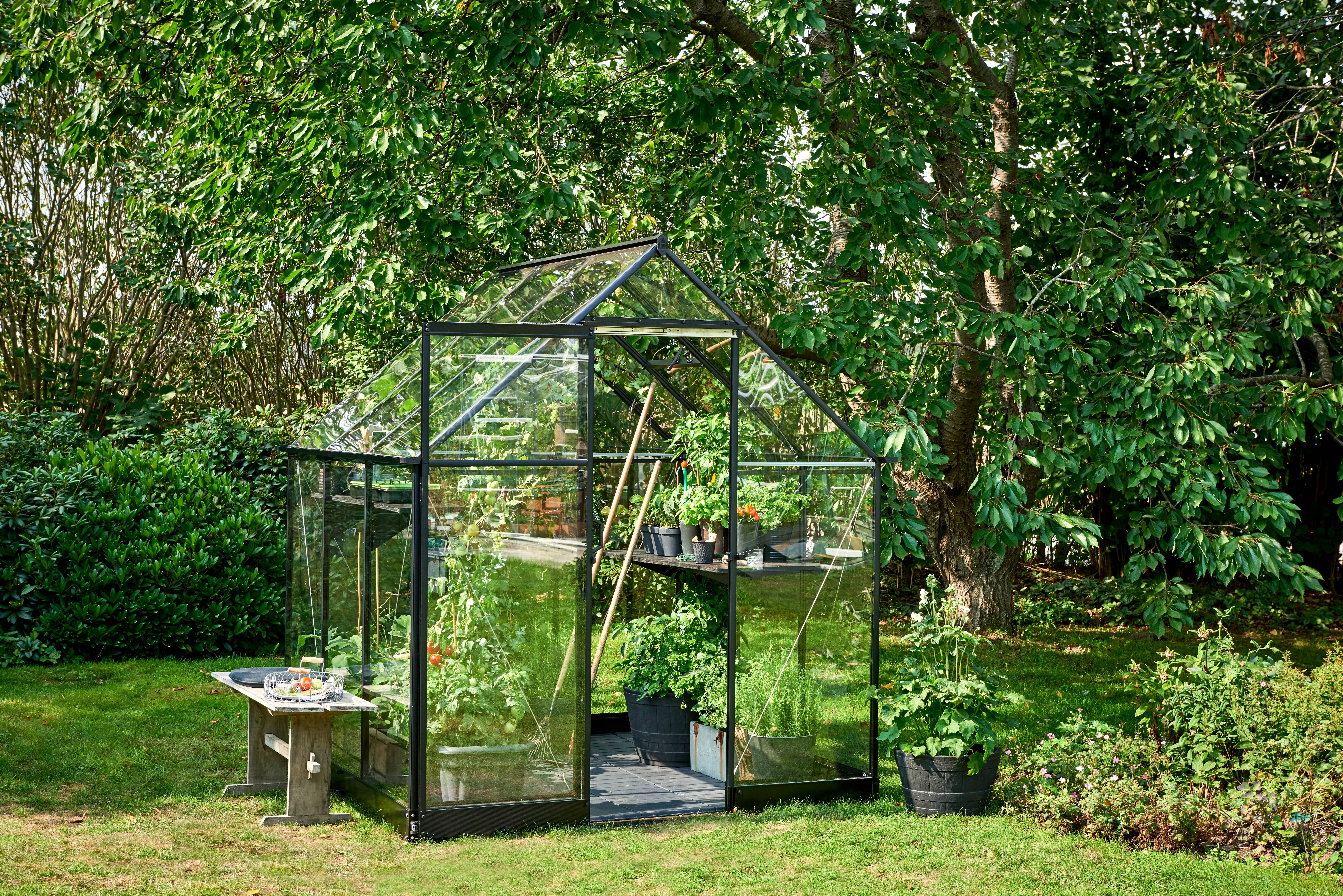 Halls - Serre de jardin verre trempé aluminium noir 3,6 m² Qube 6 - Halls - Image 5