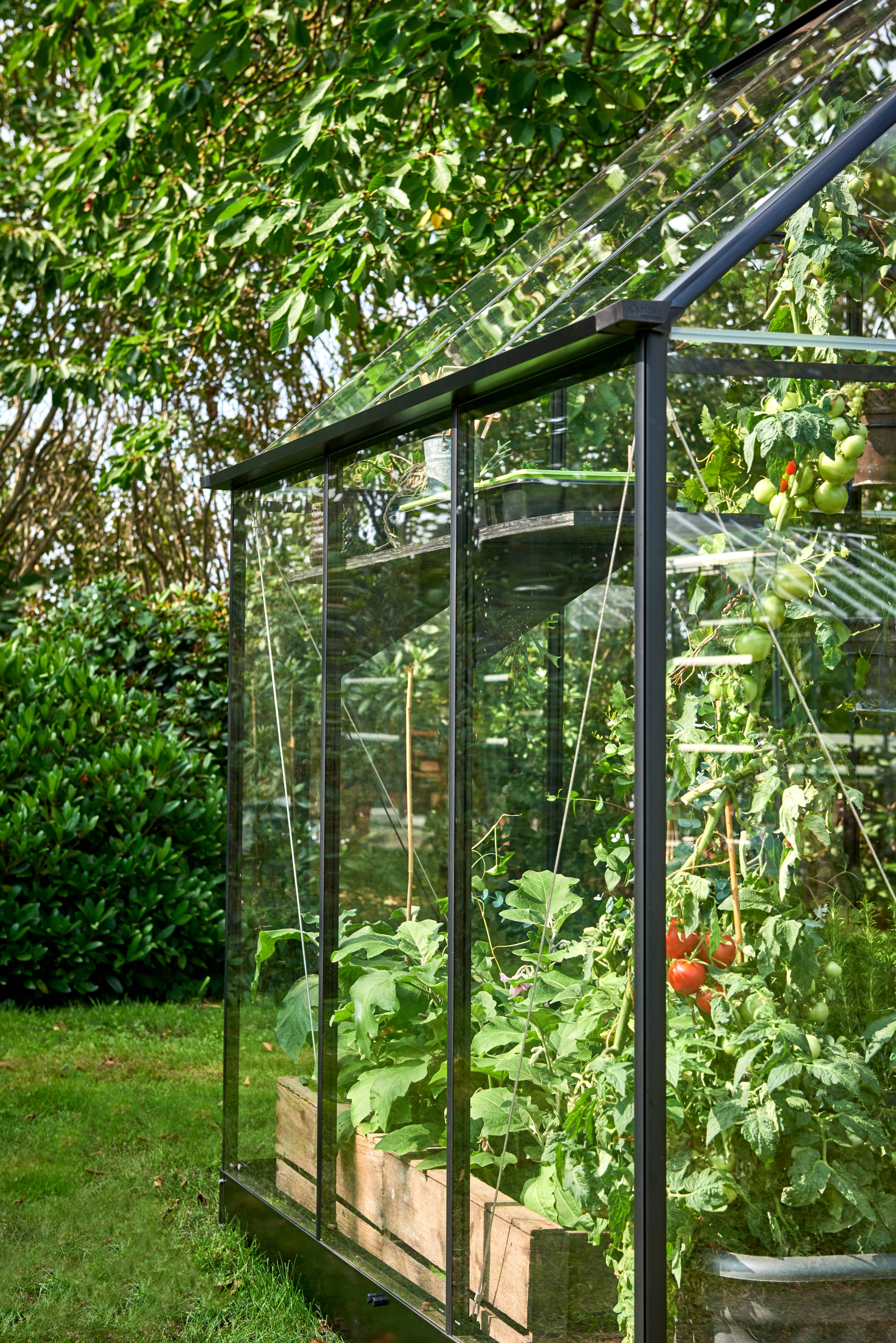 Halls - Serre de jardin verre trempé aluminium noir 3,6 m² Qube 6 - Halls - Image 7