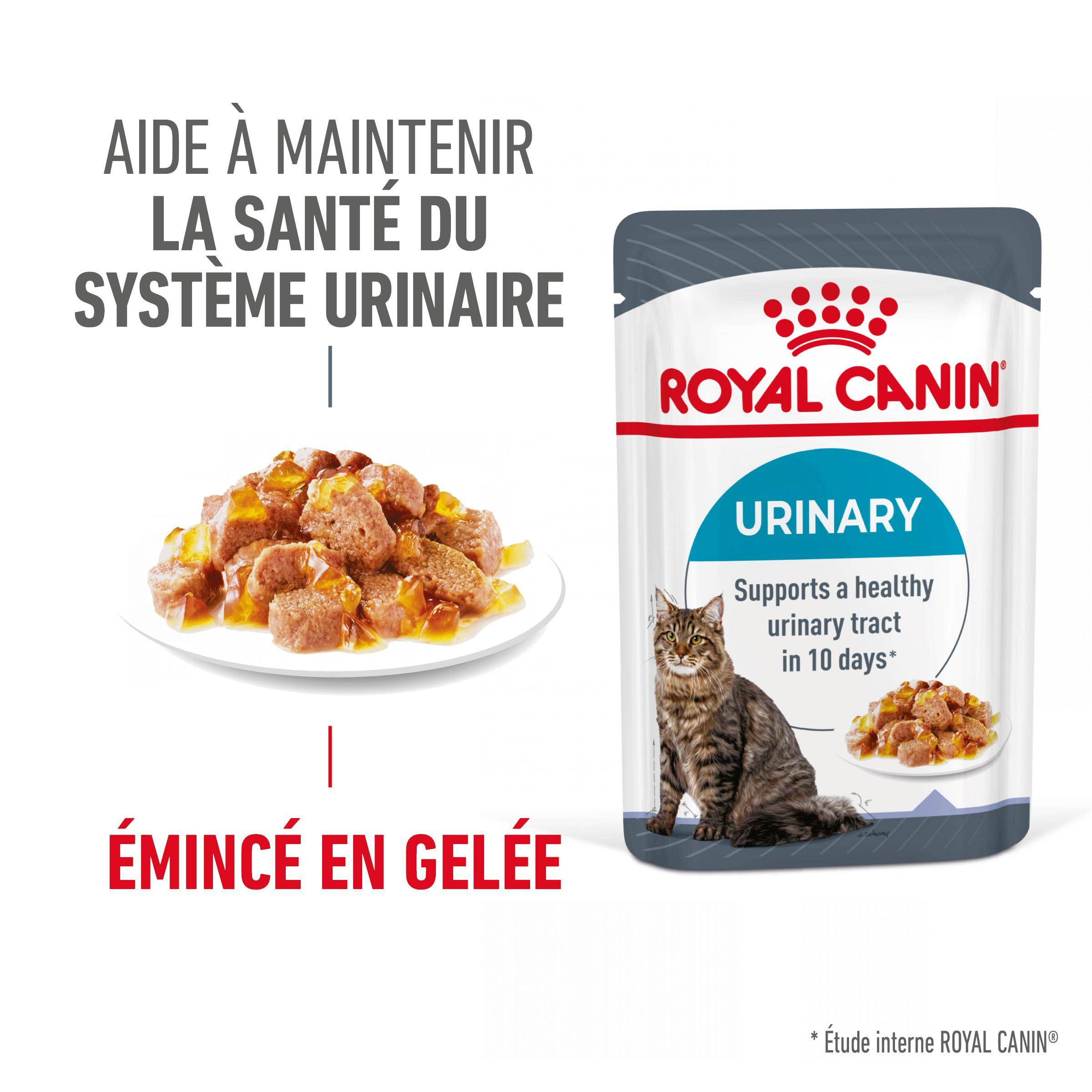 Royal Canin - Aliment Complet Chat Adulte Gelée - ROYAL CANIN - Image 1