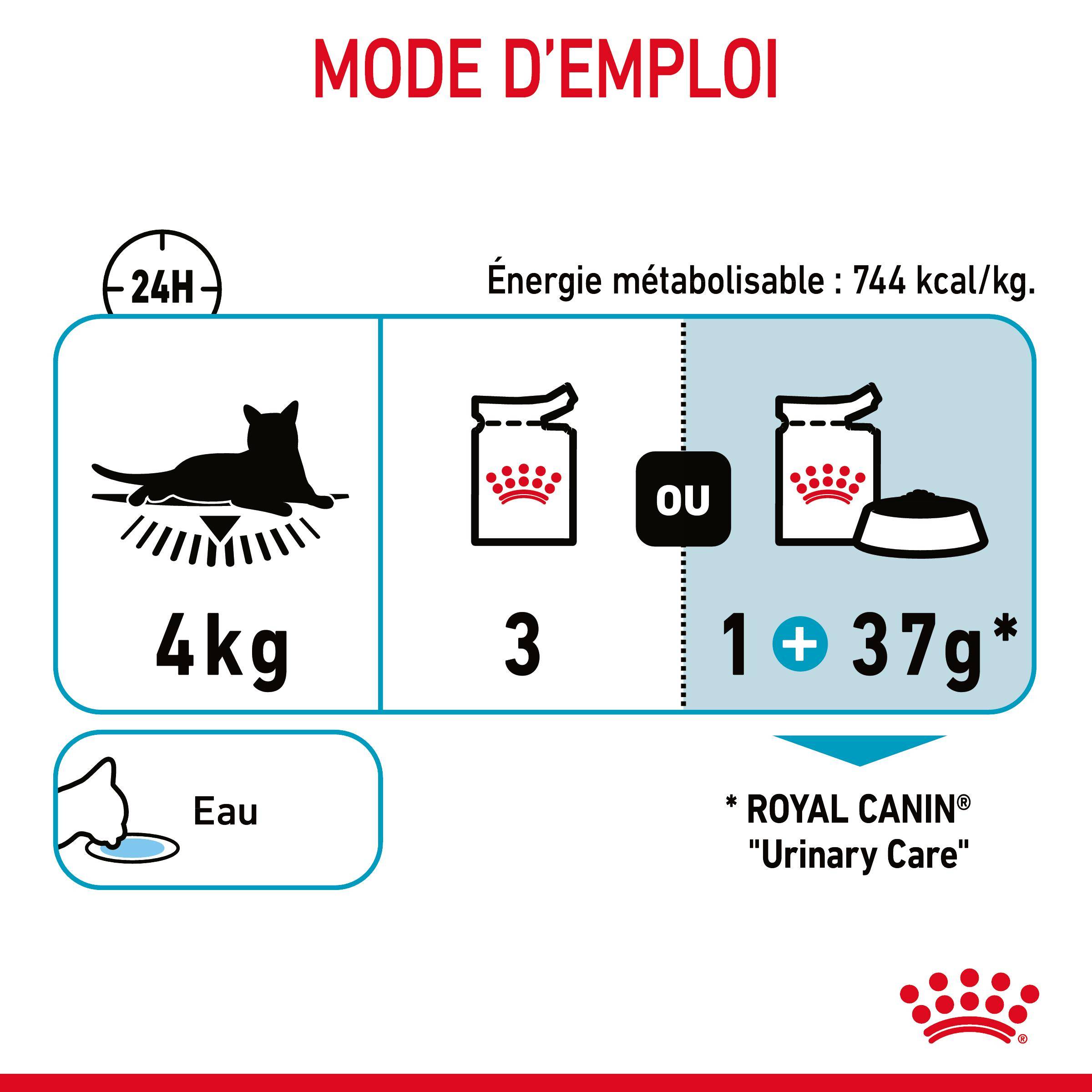 Royal Canin - Aliment Complet Chat Adulte Gelée - ROYAL CANIN - Image 6