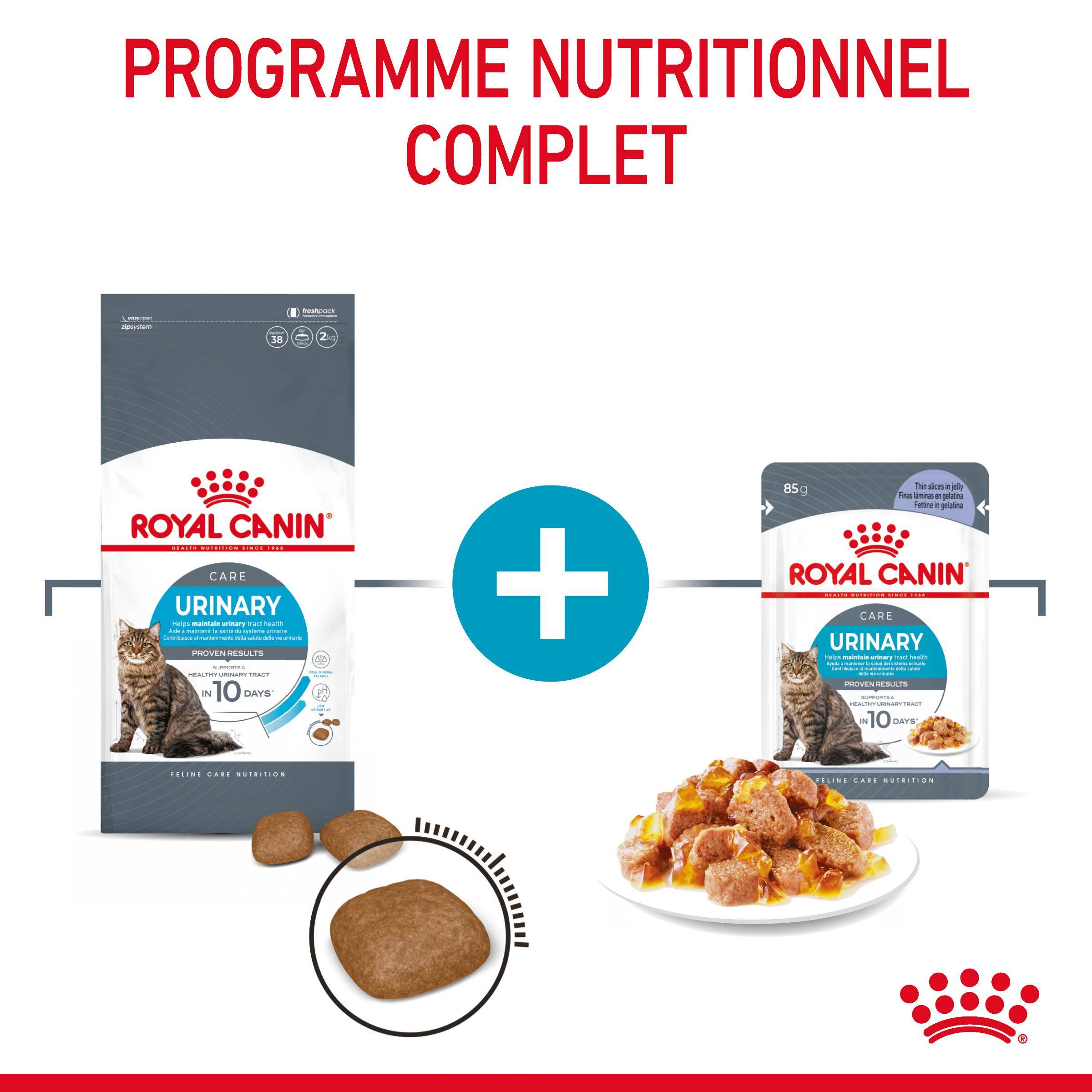 Royal Canin - Aliment Complet Chat Adulte Gelée - ROYAL CANIN - Image 10