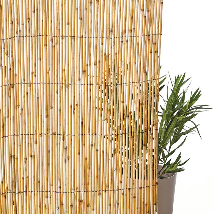 Ecloz - Canisse Roseaux Fendus 1 x 5 m - ECLOZ