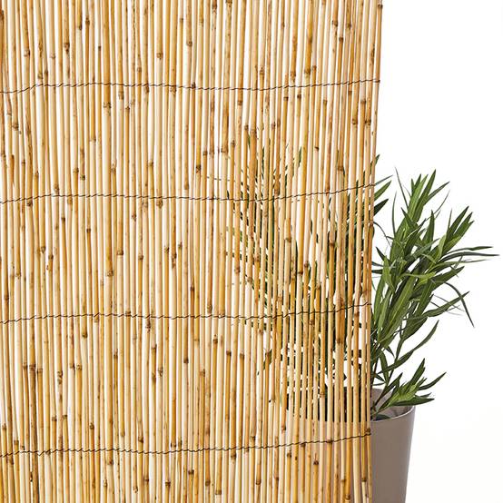 Ecloz - Canisse Roseaux Fendus 2 x 5 m - ECLOZ - Image 1