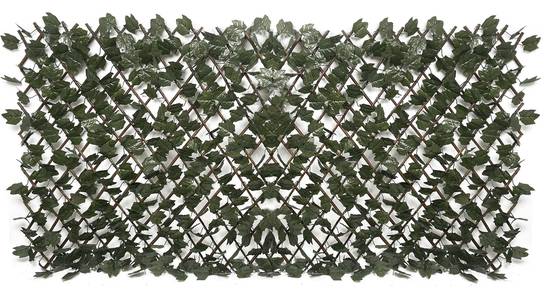 Sans Marque - Treillis Extensible Feuillage 1 x 2 m - Image 1