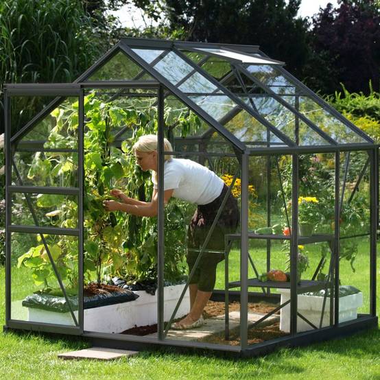 LAMS - Serre de jardin verre trempé aluminium anthracite 3,7 m² Allium avec embase - Lams - Image 1