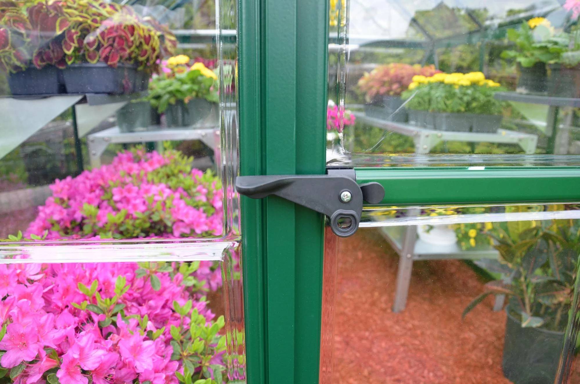 Canopia by Palram - Serre de jardin polycarbonate aluminium vert 5,7 m² Harmony avec embase - Canopia by Palram - Image 3