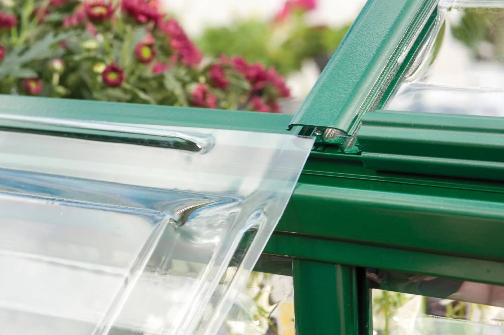 Canopia by Palram - Serre de jardin polycarbonate aluminium vert 5,7 m² Harmony avec embase - Canopia by Palram - Image 6