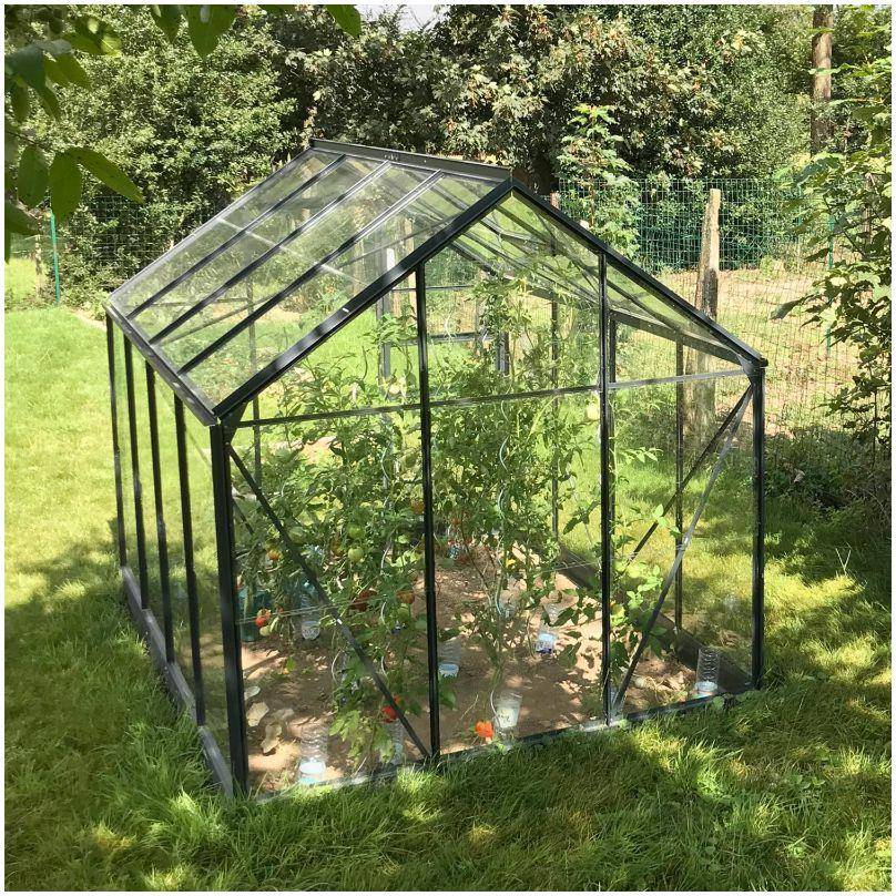 LAMS - Serre de jardin verre trempé aluminium anthracite 4,9 m² Allium avec embase - Lams - Image 7