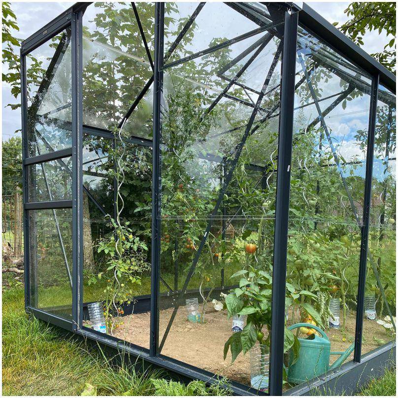 LAMS - Serre de jardin verre trempé aluminium anthracite 4,9 m² Allium avec embase - Lams - Image 9