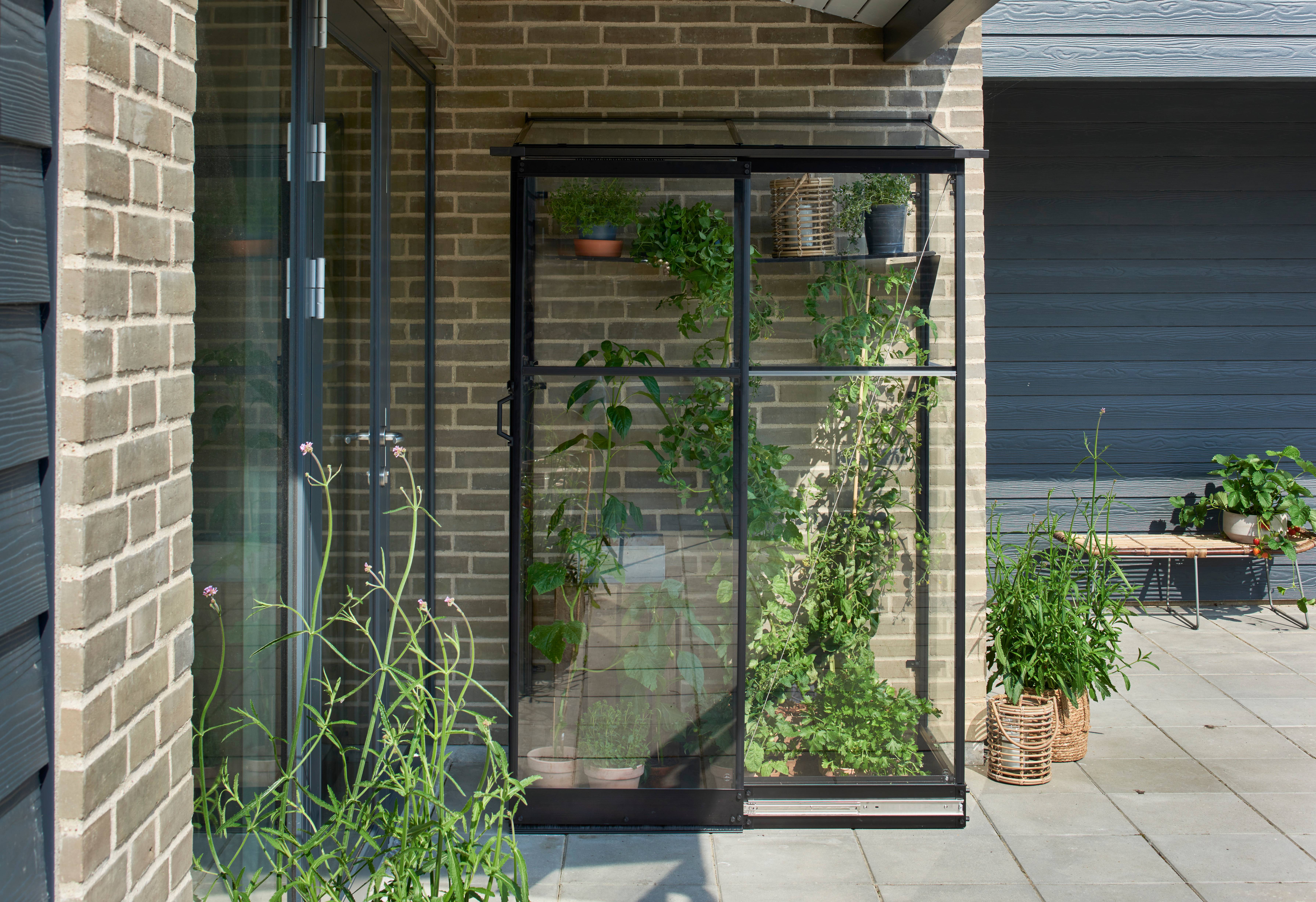 Halls - Serre de jardin adossée verre trempé aluminium noir 0,8 m² Qube Lean-to 2 - Halls - Image 7