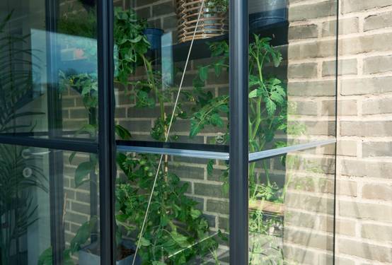 Halls - Serre de jardin adossée verre trempé aluminium noir 0,8 m² Qube Lean-to 2 - Halls - Image 6