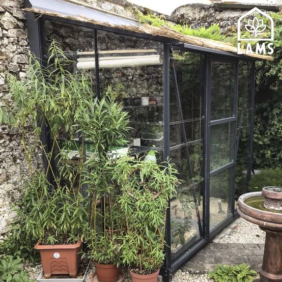 Serre de jardin adossée verre trempé aluminium LAMS - Image 2