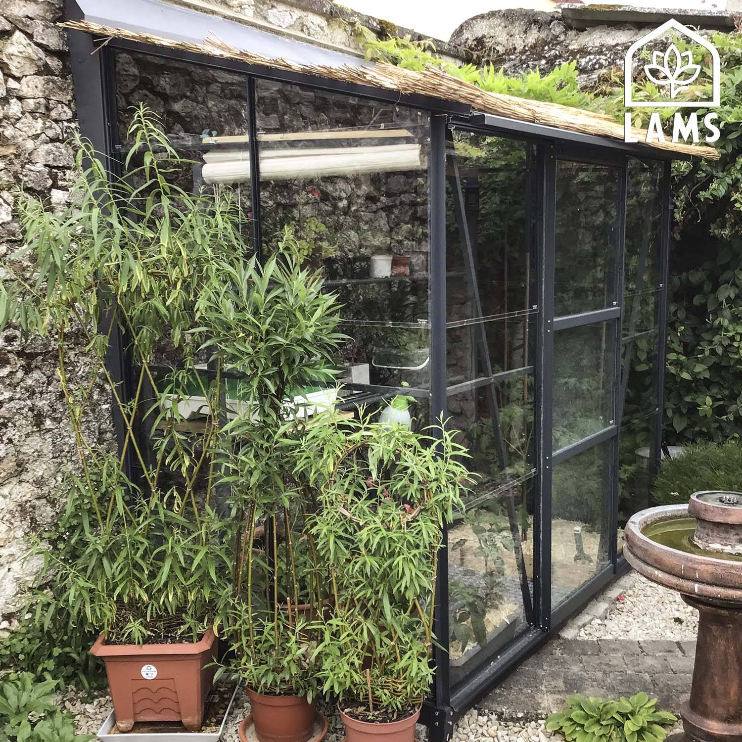 Serre de jardin adossée verre trempé aluminium LAMS - Image 2