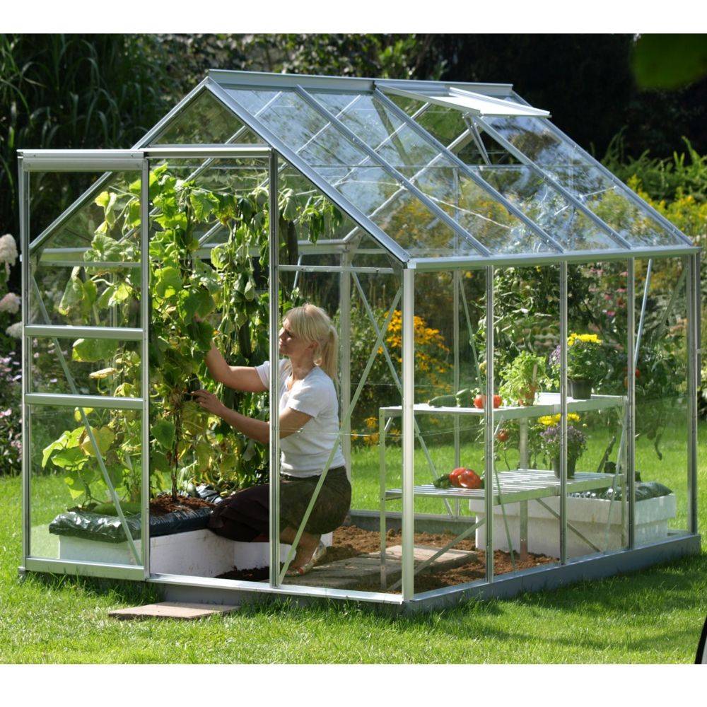 LAMS - Serre de jardin verre trempé aluminium brut 4,9 m² Allium avec embase - Lams - Image 5