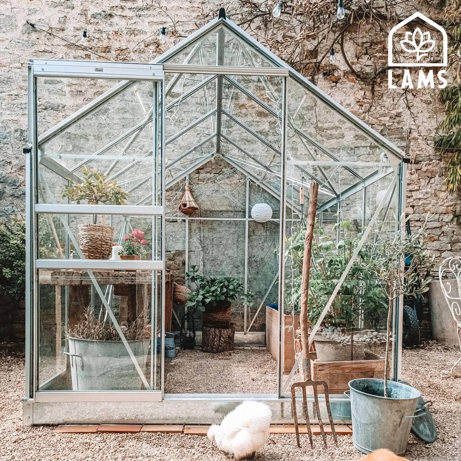 LAMS - Serre de jardin verre trempé aluminium brut 4,9 m² Allium avec embase - Lams - Image 7