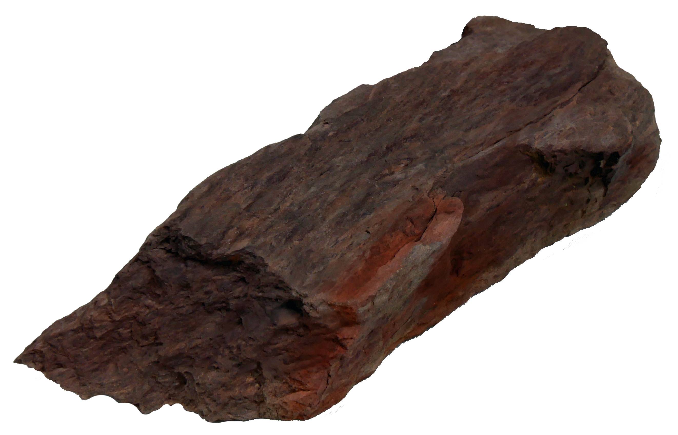 Labéo - Roche naturelle Schiste violet - Poids : entre 0,5 et 1,1 kg - Labéo - Imagen 1