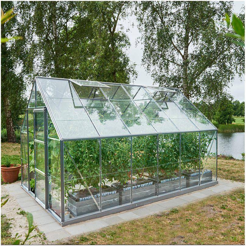 Serre en verre horticole Universal aluminium 9.90 M2 + embase - Image 5