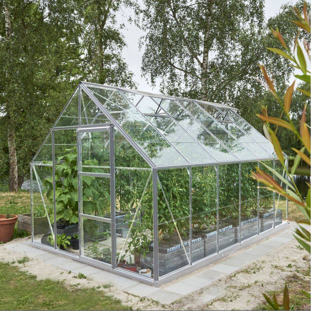 Serre en verre horticole Universal aluminium 9.90 M2 + embase - Image 3