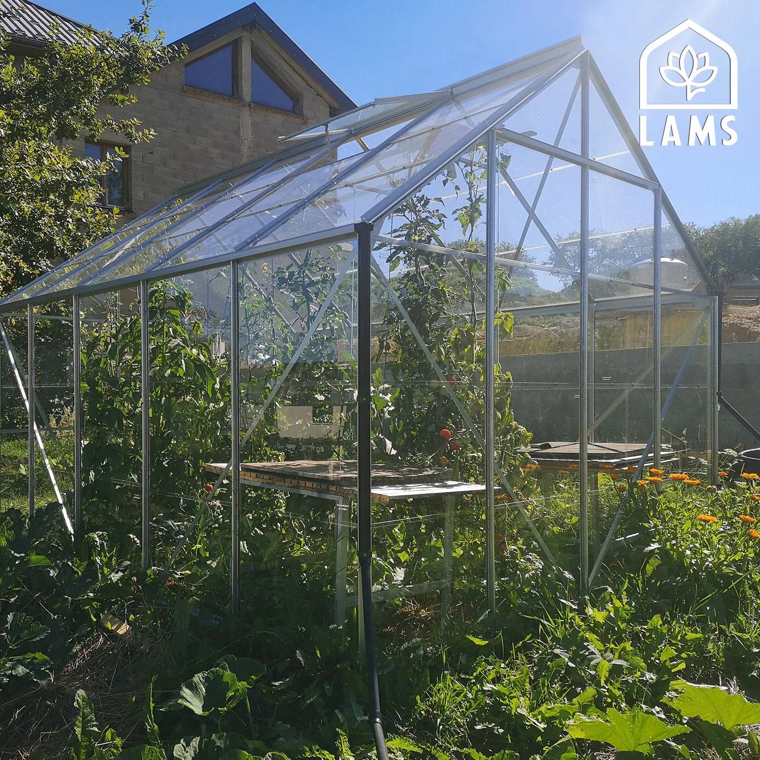LAMS - Serre de jardin verre trempé aluminium brut 8,1 m² Carvi avec embase - Lams - Imagen 9