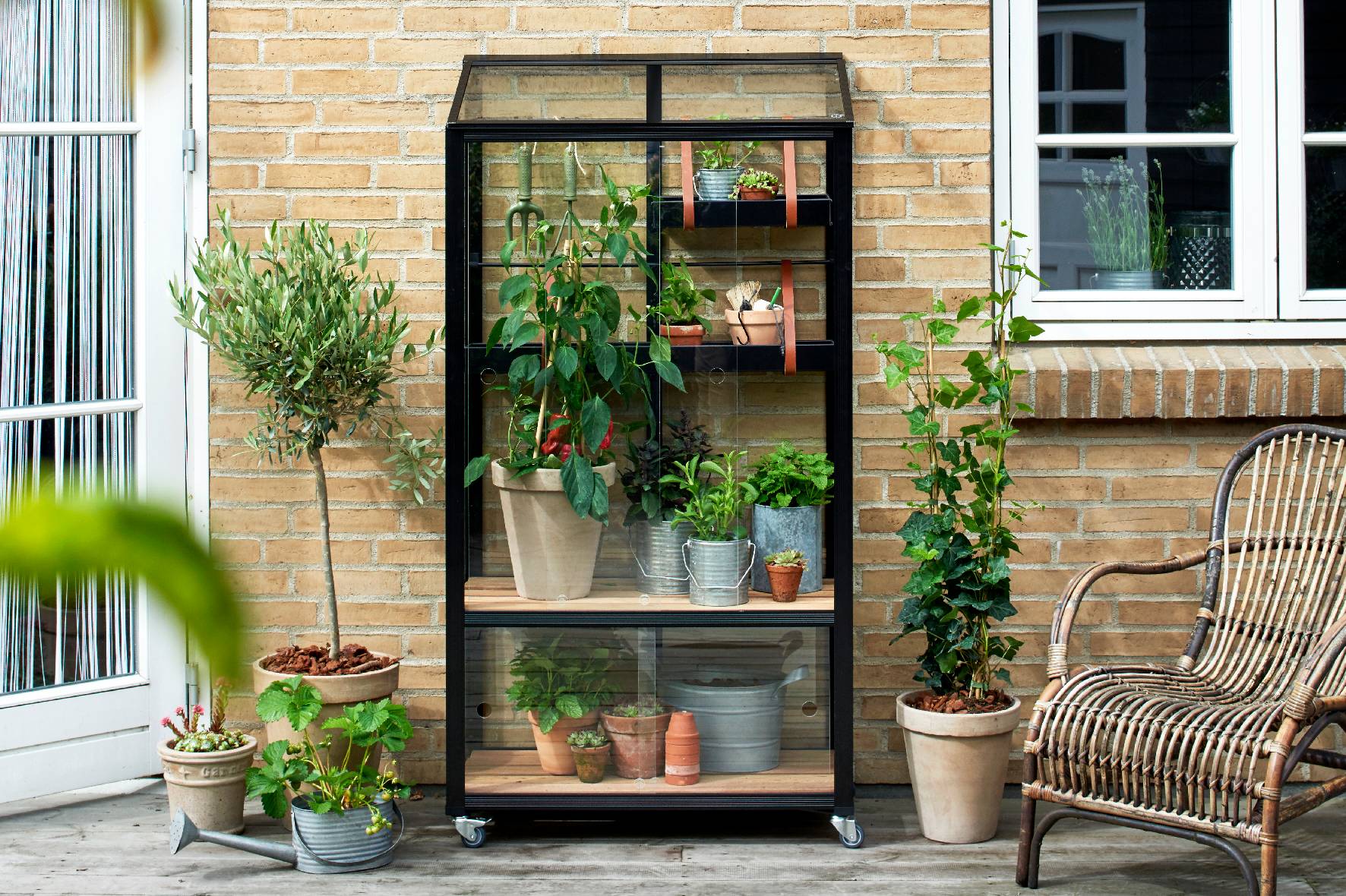 Juliana - Serre de jardin verre trempé aluminium noir 0,32 m² City sur roulettes 2 étagères - Juliana - Image 1