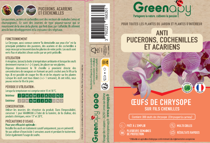 Greenapy - Chrysope Chrysoperla carnea 300 œufs - Greenapy