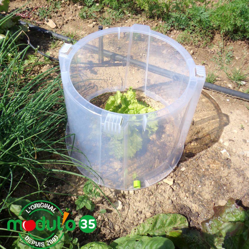 Modul'o - Lot de 3 rehausses cloches potagères Modul'o 35  Ø 40 H. 32 cm - Modul'o