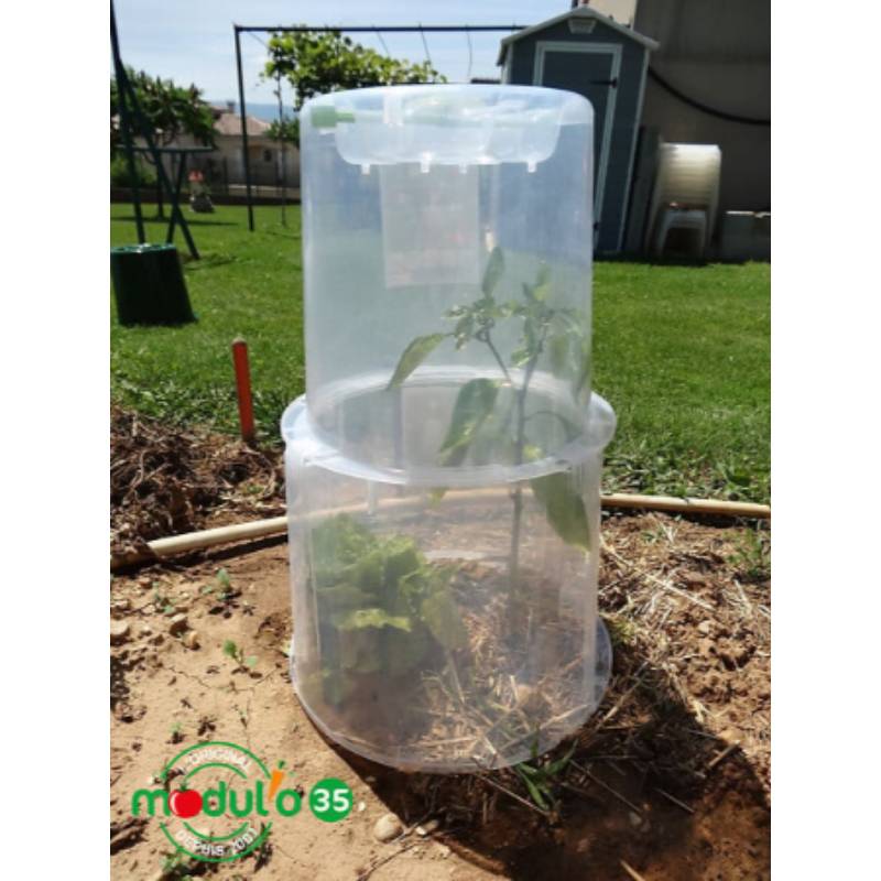 Modul'o - Lot de 3 rehausses cloches potagères Modul'o 35  Ø 40 H. 32 cm - Modul'o - Image 3