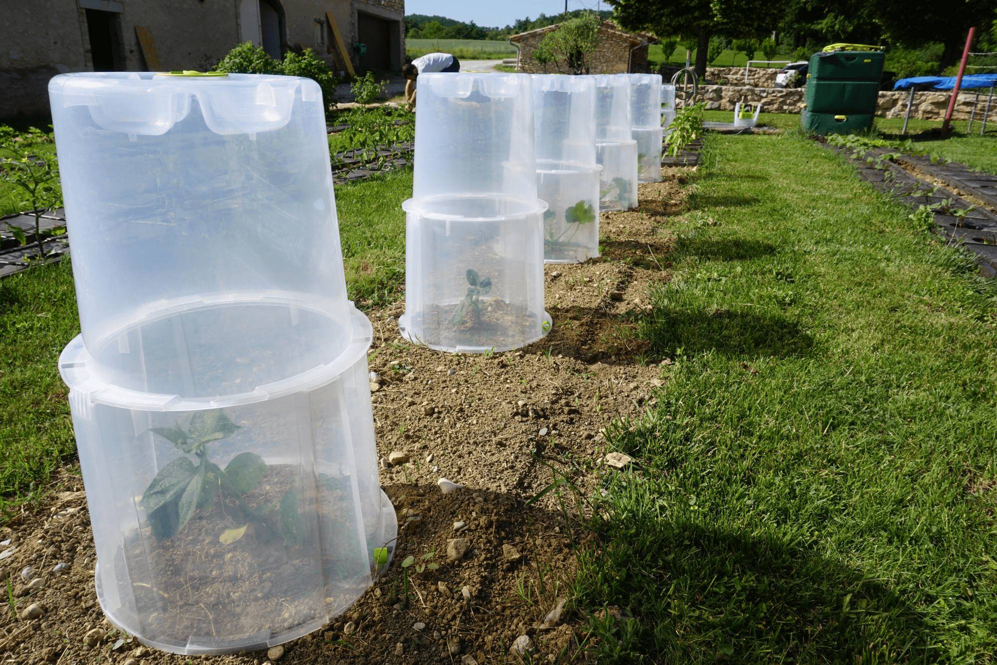 Modul'o - Lot de 3 rehausses cloches potagères Modul'o 35 Ø 40 H. 32 cm - Modul'o - Image 5
