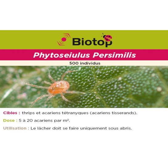 Greenapy - Acarien prédateur Phytoseiulus persimilis boîte de 500 - Greenapy - Image 5