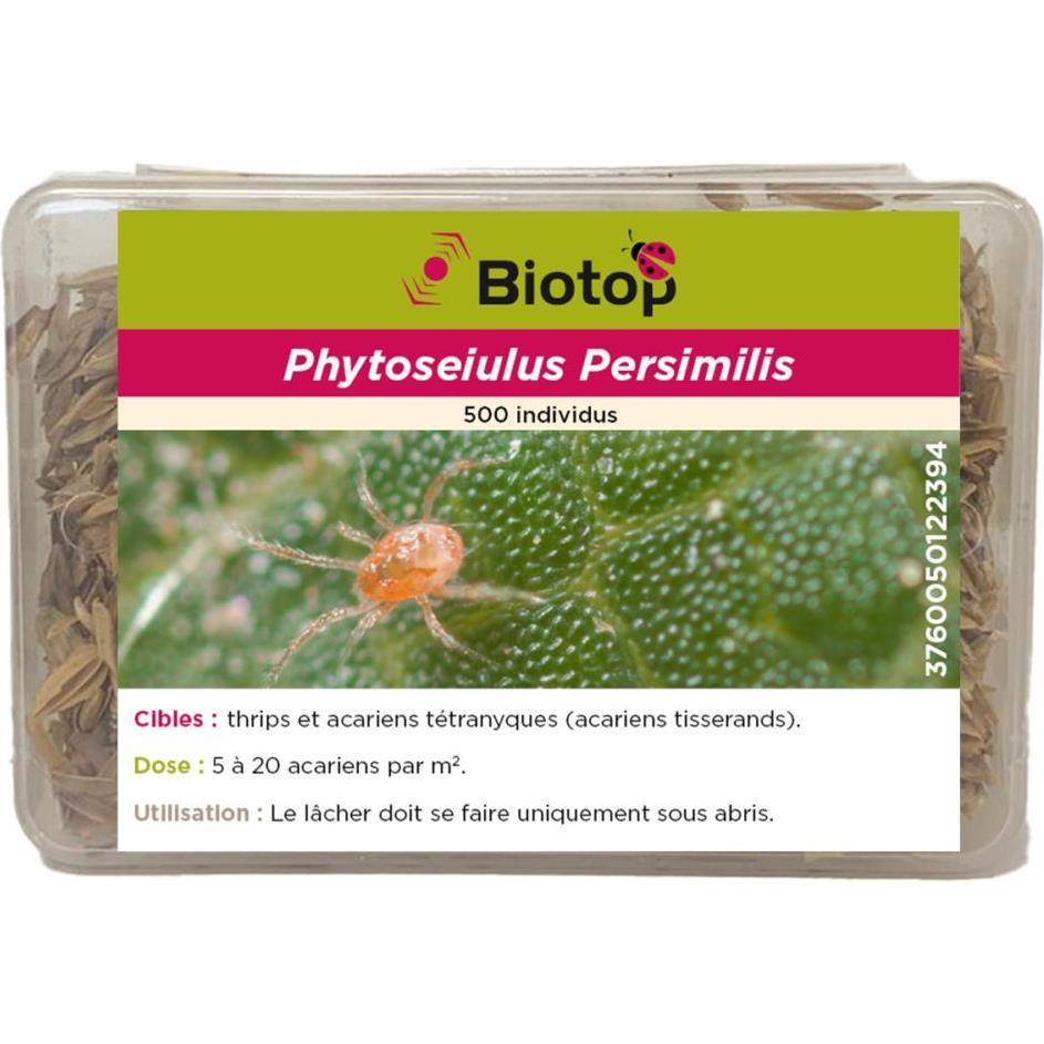Greenapy - Acarien prédateur Phytoseiulus persimilis boîte de 500 - Greenapy - Image 4