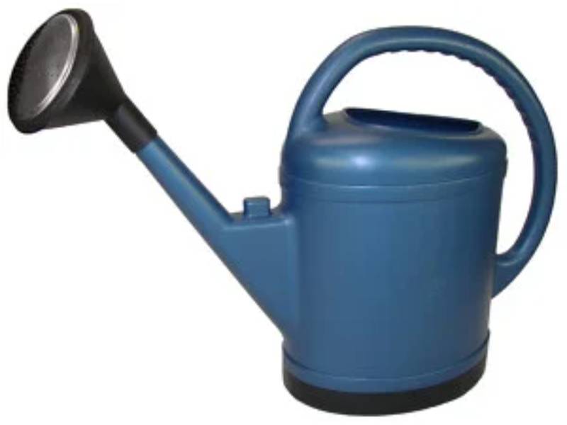 Regadera Ovalada Polietileno Azul - BELLI - Imagen 3