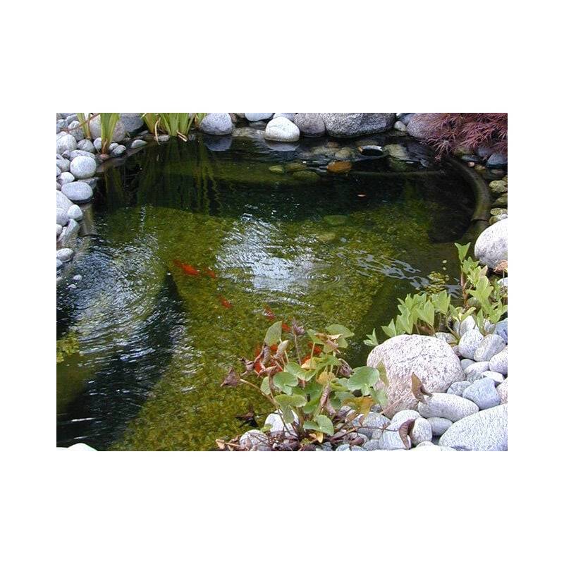 Ubbink - Bassin préformé HDPE Océan I 1500 L - Ubbink - Image 1