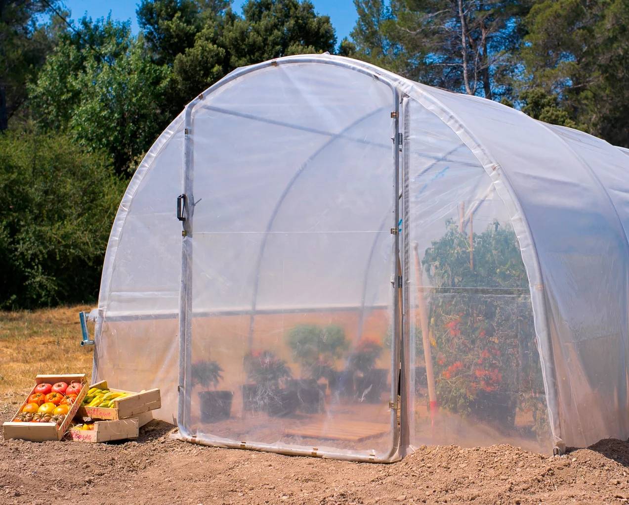 Richel Serre - Serre maraichère 13,5m² pied droit 1 porte zip acier galva PE L. 4,5 x l. 3 x H. 2 m – Richel serre - Image 5