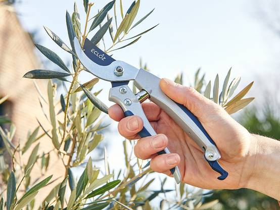 Ecloz - Sécateur avec poignée aluminium grand modèle - ECLOZ - Image 7