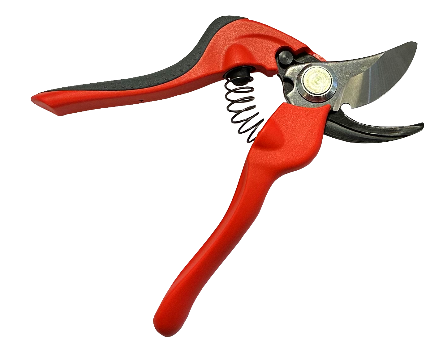 Ecloz - Tijeras de podar ergonómicas tamaño S ECLOZ - Imagen 4