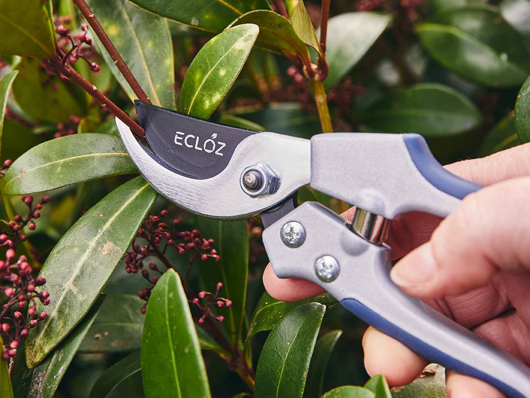Ecloz - Sécateur avec poignée aluminium petit modèle - ECLOZ - Imagen 10