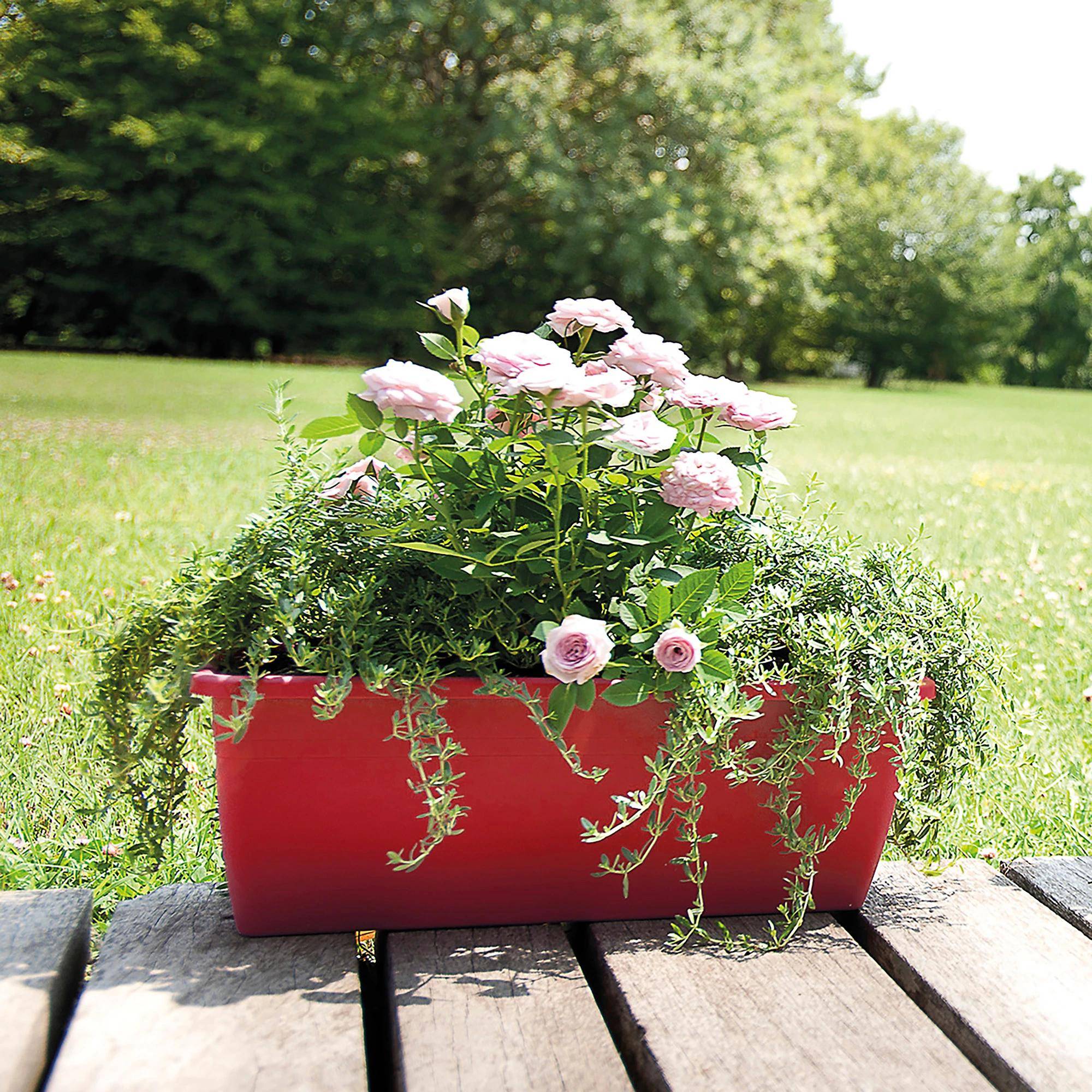 Jardinera Day R plástico rojo L.50 cm H.14.5 cm P.14.5 cm - Deroma - Imagen 2